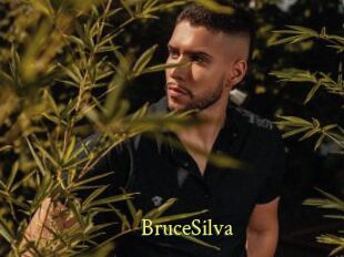 BruceSilva