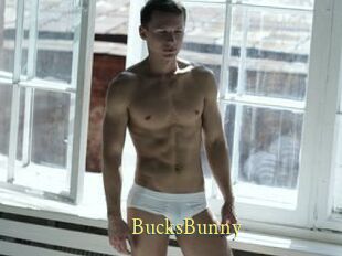 BucksBunny