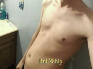 BullWhip