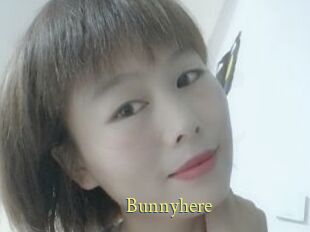 Bunnyhere