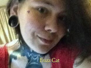 Buzz_Cat