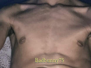 Badbunny75