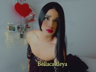 Bellacattleya