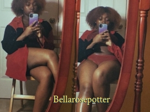 Bellarosepotter