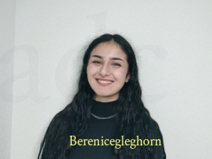 Berenicegleghorn