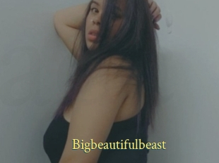 Bigbeautifulbeast