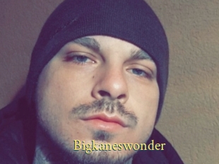 Bigkaneswonder