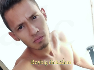 Boybig_dick22cm