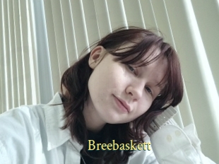 Breebaskett