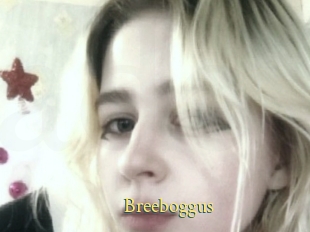 Breeboggus