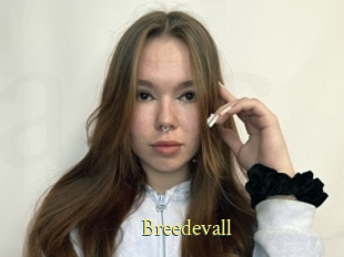 Breedevall