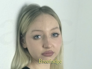 Breefudge