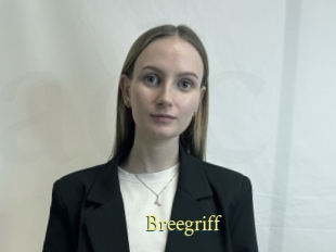 Breegriff