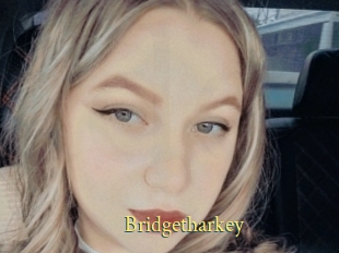 Bridgetharkey