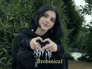 Broosnica1