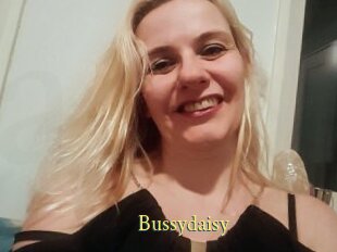 Bussydaisy