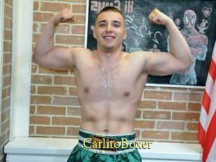 CarlitoBoxer
