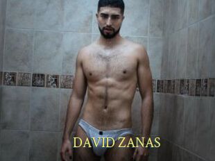 DAVID_ZANAS