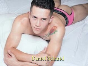 Daniel_Schmid