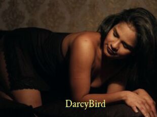 DarcyBird