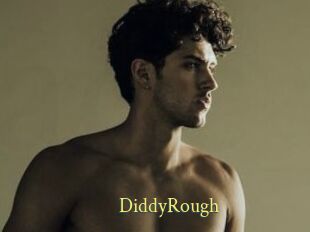 DiddyRough