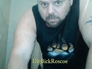 DigBickRoscoe