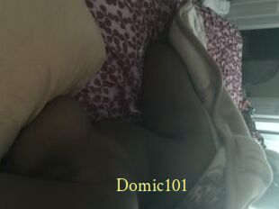 Domic101