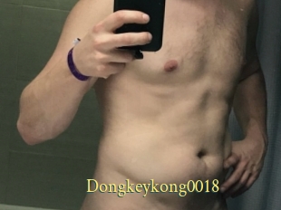 Dongkeykong0018