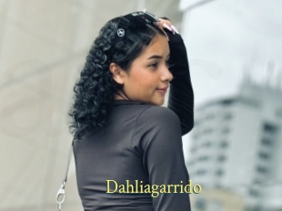 Dahliagarrido