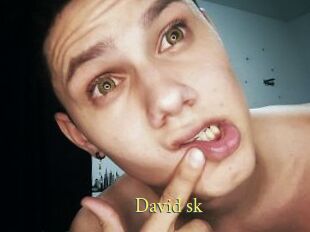 David_sk