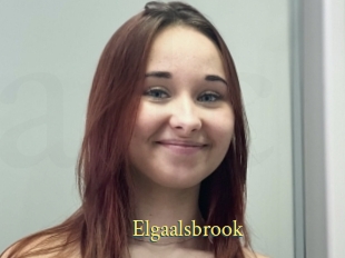 Elgaalsbrook