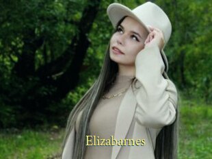 Elizabarnes