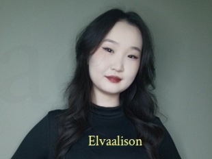 Elvaalison