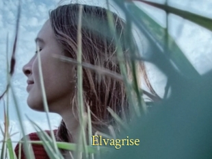 Elvagrise