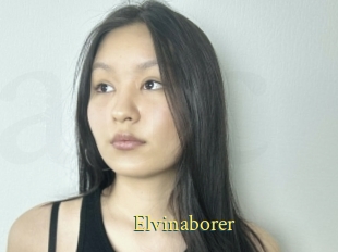 Elvinaborer