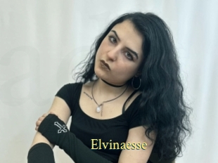 Elvinaesse