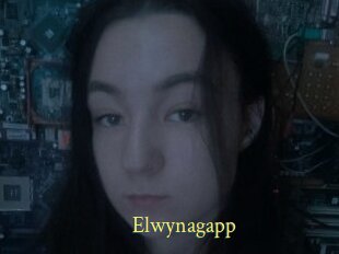 Elwynagapp