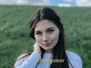 Erlenegomer