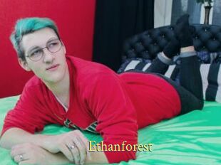 ethanforest Anus Dilatés