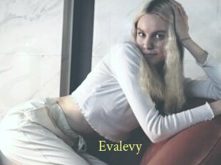 Evalevy