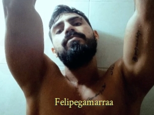 Felipegamarraa