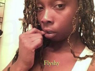 Flyshy