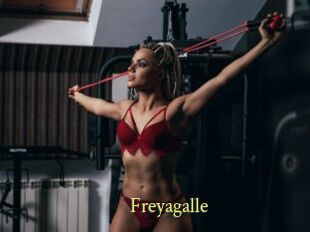 Freyagalle