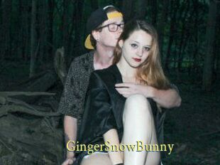 GingerSnowBunny