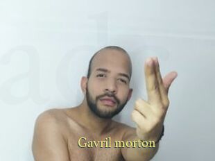 Gavril_morton