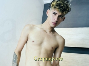 Gropingvoys