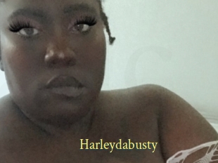 Harleydabusty