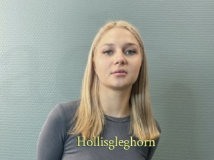 Hollisgleghorn