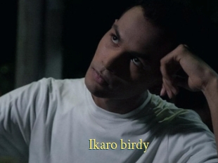 Ikaro_birdy