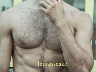 Indiansnake